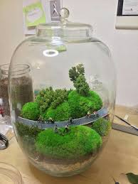 Mahmut Kirnik 2950 Cactus Terrarium Miniature Garden Terrarium Scene