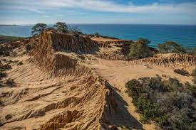 Torrey pines lodge torrey pines park rd. Torrey Pines State Natural Reserve The Intrepid Life