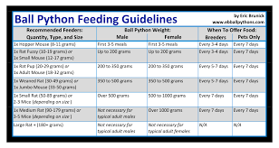 ball python feeding chart mice vs rats ball python ball