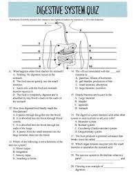 Buzzfeed editor keep up with the latest daily buzz with the buzzfeed daily newsletter! 20 Question Digestive System Quiz By Cortezmadeco Tpt