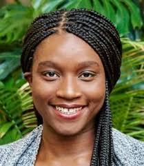 summer institute 2017