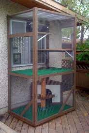 Max peeks into the house from the habitat] it was in the spring of 2007 when our beloved mr. Links To An Abundant Variety Of Kitty Cat Enclosure Ideas Kittycats Links T Abundant Cat Enclosure Ideas Diy Cat Enclosure Cat Enclosure Cat Cages