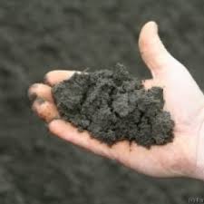 To fertilize effectively, it's important to know what nutrients your soil is low on. Soil In Melbourne Garden Soil Top Soil More Fultons