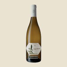 Der betrieb erstreckt sich aktuell über etwa 200 hektar. Unsere Produkte Jermanns Weine Jermann Di Silvio Jermann Srl Societa Agricola Unipersonale