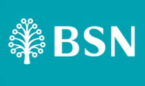 Hadiah utama rm1 juta cabutan istimewa sijil simpanan premium bank simpanan nasional (ssp bsn) bagi oktober 2017 dimenangi tan man hua manakala rozila zainal memenangi cabutan istimewa rm1 juta bagi september. Bsn Ssp 2017 Penuhi Impian Penyimpan Bergelar Jutawan