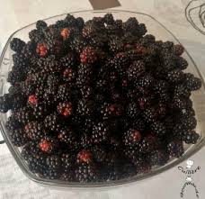 Delicieux Clafoutis Aux Mures Sauvages Facon Mamie