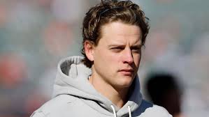 Greater Cincinnati boy raises more than $4,000 for animal shelters by  selling pens