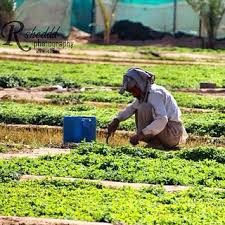 عــــسـى الله يســــــقـي أيــــــــام البســاطة يـقــول ا Flickr