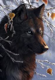 Beautiful Black And Brown Wolf Alpha Wolf Wolf Spirit Animal Anime Wolf Wolf Spirit