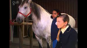 The uploader has not made this video available in your country. Grand Galop Saison 3x13 Le Choix De Lisa Partie 1 By Leon Hansar