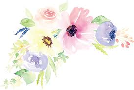 Floral Design Watercolor Painting Flower Illustration Watercolor Flower Vector 2046 1379 Flower Art Painting Flower Illustration Watercolor Flowers Paintings
