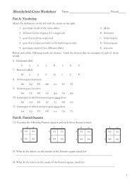 Set up the punnett square 4. Https Henryclayspoonamore Weebly Com Uploads 3 0 5 7 30573605 Monohybrid Cross Worksheet Pdf