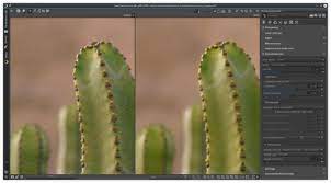 Noise Reduction - Rawpedia