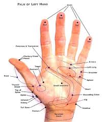 Reflexology Left Hand Chart Reflexology Left Hand Chart