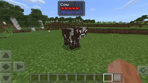 Minecraft mods change default game functionality or adds completely new game modes and mechanics. Die 20 Besten Minecraft Mods 2021