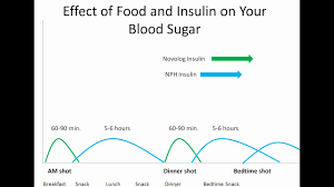 Food And Your Blood Sugar Novolog And Nph Diabetes Center For Children At Chop