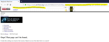 Realyourbrainonporn (Daniel Burgess, Nicole Prause) defamationharassment  of Gary Wilson: They discover fake porn URLs in the Internet Wayback  Archive (August, 2019) - Your Brain On Porn
