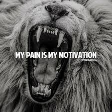Fearless Cats 29 Cats Who Are Totally Badass Epic Laughs Pin On Motivational Quotes