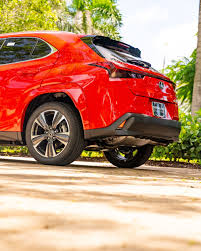 Image result for Cadmium Orange 2021 LC