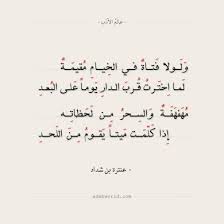 شعر عنترة بن شداد حصاني كان دلال المنايا عالم الأدب اقتباسات من الشعر العربي والأدب العالمي Arabic Poetry Arabic Quotes Quotes