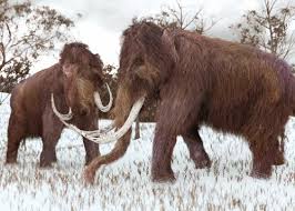 Extinct species extinct species charts overall extinct species list detailed list of recent extinct species threatened species rediscovered species why save endangered species? Scientists Around The World Wrestle With How To Name De Extinct Species Smithsonian Science Education Center