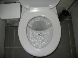 Whether you have a science buff or a harry potter fa. How Well Do You Know Restroom Etiquette Quizpug