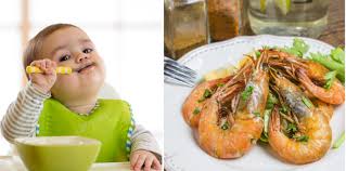 Resep masak udang untuk anak. Udang Untuk Mpasi Bayi Amankah Diberikan Ini Penjelasannya