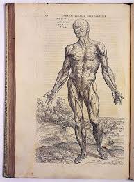 Scientific Revolution, By Jean-Pierre Luminet