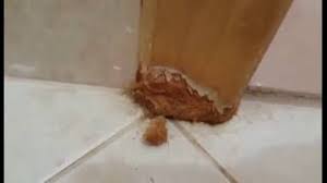 حل مشكلة تآكل ابواب واطار باب الحمام Youtube