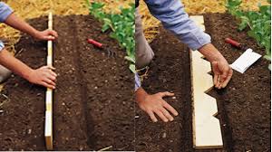 Diy Planter S Yardstick Helps Properly Space Seeds And Seedlings Spring Vegetable Garden Small Vegetable Gardens Diy Planters