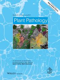 Maybe you would like to learn more about one of these? Asian Grapevine Leaf Rust Caused By Phakopsora Euvitis An Important Disease In Brazil Primiano 2017 Plant Pathology Wiley Online Library
