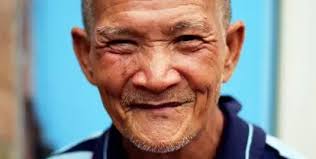 Is it Ethical to Volunteer with Elephants in Thailand?