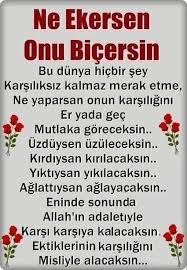Yuvasiz Kuslar Facebook
