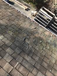 2020 from the ground up. 1 Preferred Choice Roof Cleaning Long Island Nassau Suffolk Counties Preferred Choice Cleaning