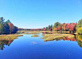 Adirondack Explorer - News update