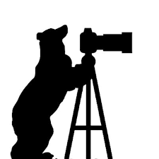 images