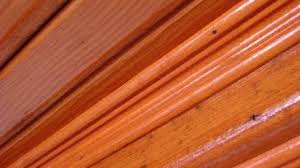 Aşağıda vernik çeşitleri ve özelliklerini detaylıca anlattık. Vernik Nedir Nerelerde Kullanilir Maksatbilgi