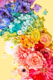 Muralsyourway.com has been visited by 10k+ users in the past month Rainbow Roses Wallpapers Wallpaper Cave