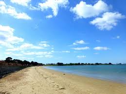Plage De La Falaise Sur Arz Ile Aux Moines Golfe Du Morbihan Ile