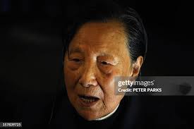 155 Shuqin Stock Photos, High-Res Pictures, and Images