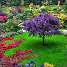 Os Jardins De Butchart Um Dos Jardins Mais Lindos Do Mundo Belos Jardins Jardim Jardinagem