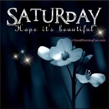 Good morning saturday funny quotes. Funny Saturday Quotes And Sayings For Facebook Good Morning Fun