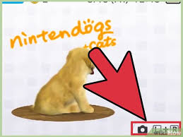 Gamesradar+ takes you closer to the games, movies and tv you love. How To Delete Your Nintendogs Cats Completely 4 Steps