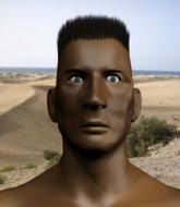 MMA Tycoon :: Fighter Opponent's Combined Record