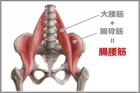 反り腰（大転子や太もも張り・姿勢の見た目と腰痛）の原因と解決法！ | 福岡の大転子矯正専門ふくだ整体院