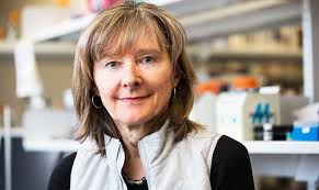 Concordian Ann English is Canada's leading female chemist of 2017