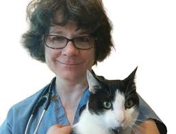 Get to Know: Stacey Leonatti Wilkinson, DVM, DABVP-Herpetology