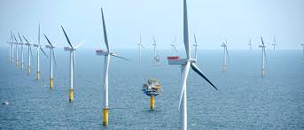 Opportunities for Ocean-Climate Action in the United States