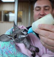 ANNUAL REPORT2020 2021