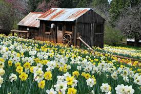 The best prices for the best quality established 1973 we do deliveries also. Https Www Kcra Com Article Sierra Snow On The Way 18652807 2018 02 21t22 30 00z Daily 0 8 Https Www Kcra Com Article Sacramento City Leaders Support Bid For Nba All Star Game 18565820 2018 02 21t16 20 00z Daily 0 8 Https Www Kcra Com Article